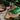 Amazon Rainforest SuperShake